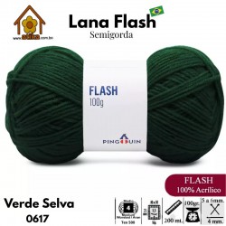Flash Semigruesa - 0617...