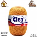 4234_Colores_7030 Mostaza