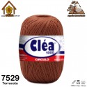 4227_Colores_7529 Terracota