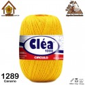4233_Colores_1289 Canario