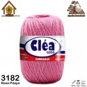 4252_Colores_3182 Pitaya
