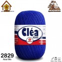 4257_Colores_2829 Azul Bic