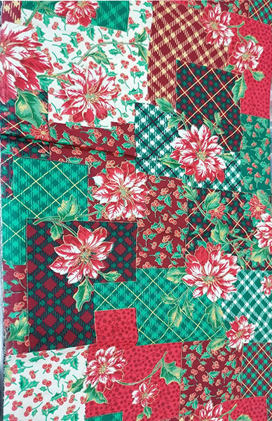 Ilustración Flor de Navidad